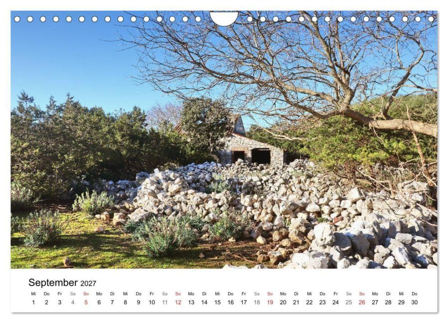 InsideView 14