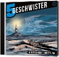 5 Geschwister - Im mysteriösen Leuchtturm, Folge 11 - Tobias Schier, Tobias Schuffenhauer