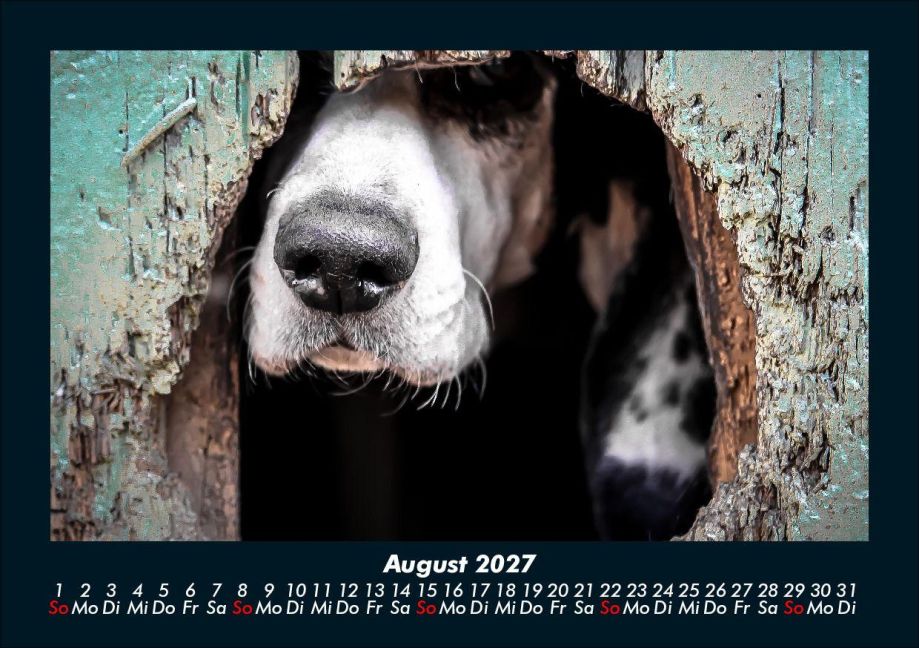 InsideView 12