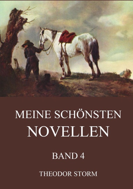 Meine schönsten Novellen, Band 4 - Theodor Storm