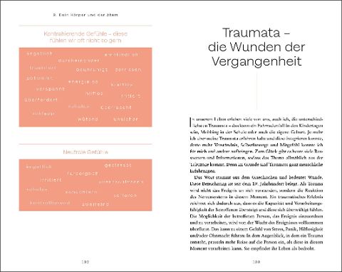 InsideView 4