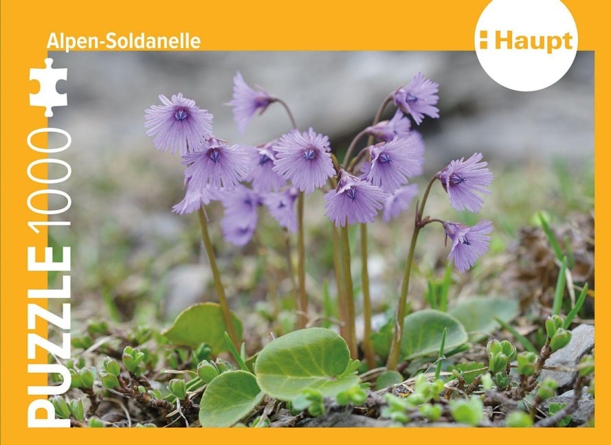 Alpen-Soldanelle - Puzzle. 1000 Teile - 