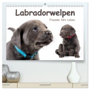 Labradorwelpen - Freunde fürs Leben (hochwertiger Premium Wandkalender 2026 DIN A2 quer), Kunstdruck in Hochglanz - Photodesign Krätschmer