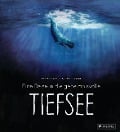 Cover-Bild zum Titel 'Eine Reise in die geheimnisvolle Tiefsee' von 'Annika Siems, Wolfgang Dreyer'