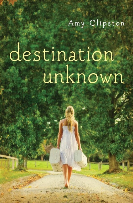 Destination Unknown - Amy Clipston