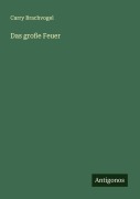 Cover-Bild zum Titel 'Das große Feuer' von 'Carry Brachvogel'