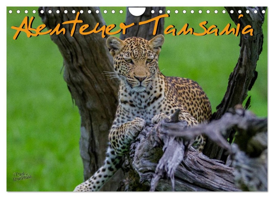 Abenteuer Tansania, Afrika (Wandkalender 2026 DIN A4 quer), CALVENDO Monatskalender - Frank Struckmann