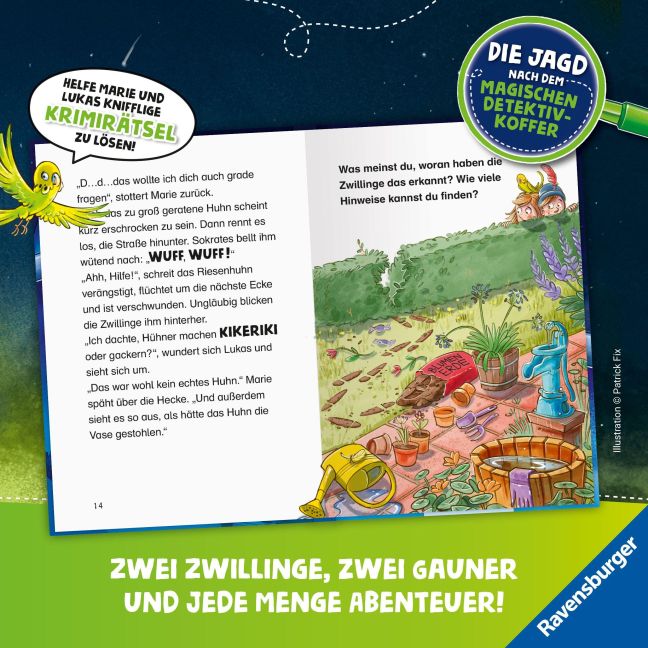InsideView 2
