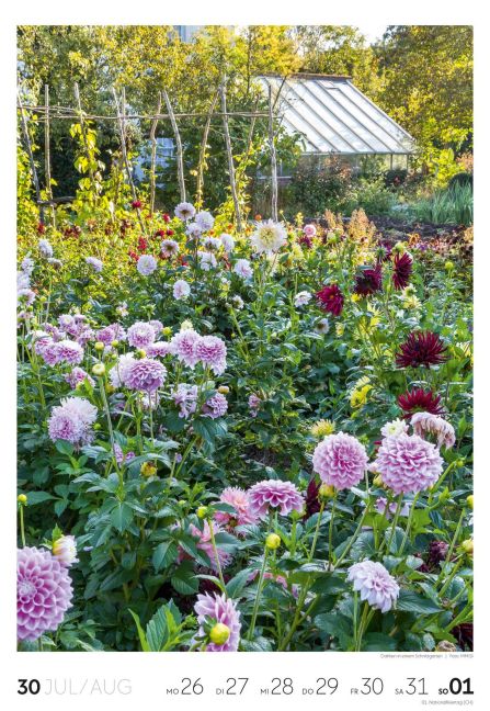 InsideView 31