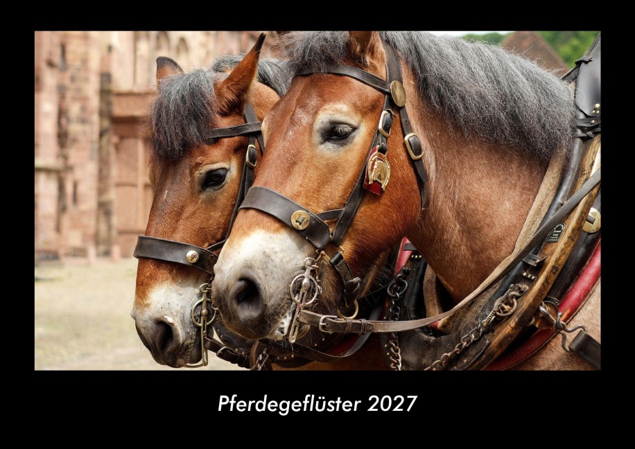 Pferdegeflüster 2027 Fotokalender DIN A3 - Tobias Becker