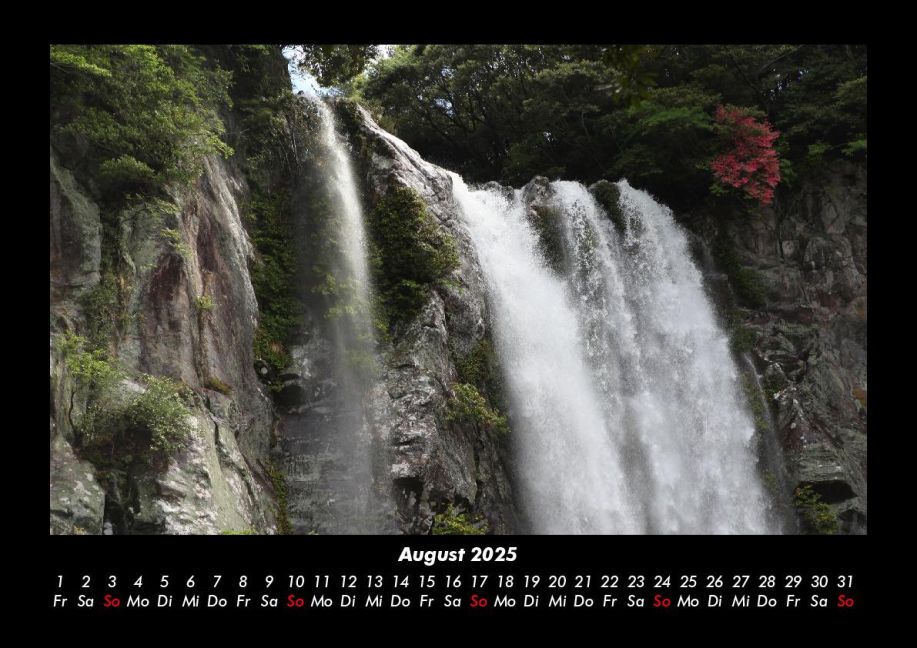 InsideView 12