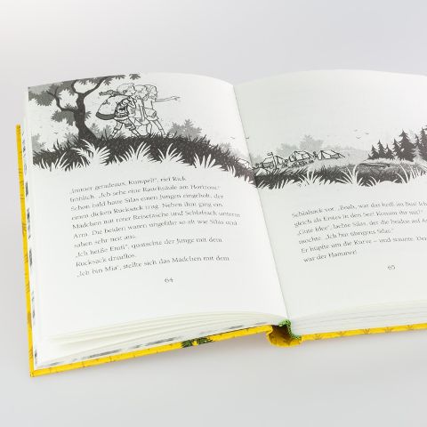 InsideView 4