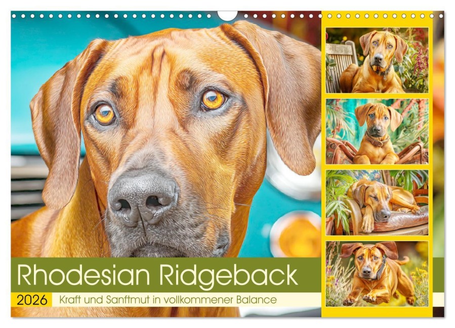 Rhodesian Ridgeback. Kraft und Sanftmut in vollkommener Balance (Wandkalender 2026 DIN A3 quer), CALVENDO Monatskalender - Rose Hurley