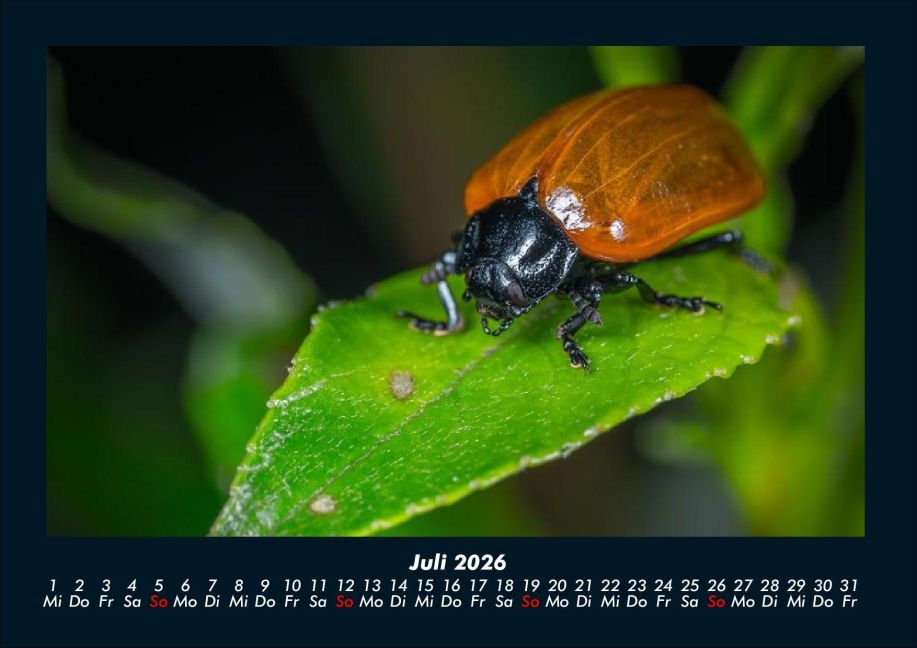 InsideView 11