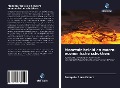 Cover-Bild zum Titel 'Monetair beleid en macro-economische schokken:' von 'Zerayehu Sime Eshete'