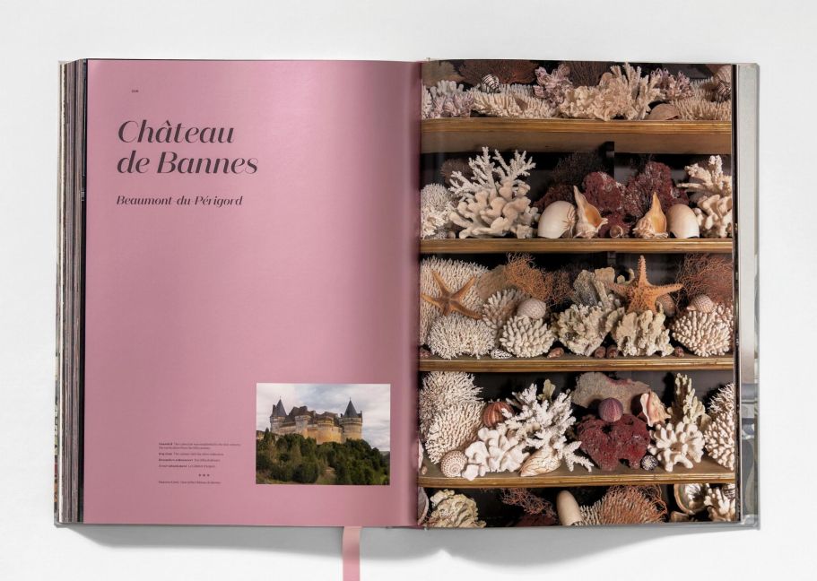 InsideView 13