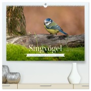 SINGVÖGEL - Die prächtigen Sänger in schönem Ambiente (hochwertiger Premium Wandkalender 2026 DIN A2 quer), Kunstdruck in Hochglanz - Arne Wünsche