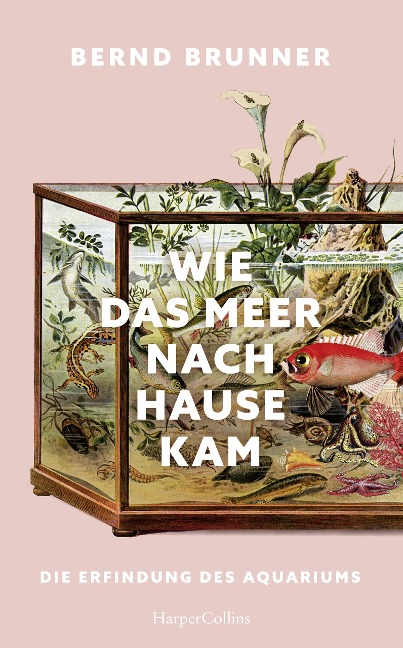 Wie das Meer nach Hause kam. Die Erfindung des Aquariums - Bernd Brunner