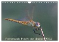 Farbenvolle Pracht der Libellen (Wandkalender 2024 DIN A4 quer), CALVENDO Monatskalender - Dany¿s Blickwinkel
