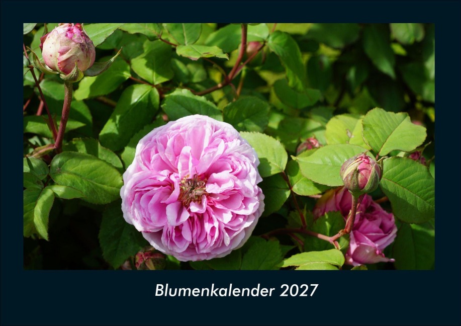 Blumenkalender 2027 Fotokalender DIN A4 - Tobias Schmitt, Kevin Heber