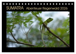 Cover-Bild zum Titel 'SUMATRA Abenteuer Regenwald (Tischkalender 2026 DIN A5 quer), CALVENDO Monatskalender' von 'Bettina Grallert'