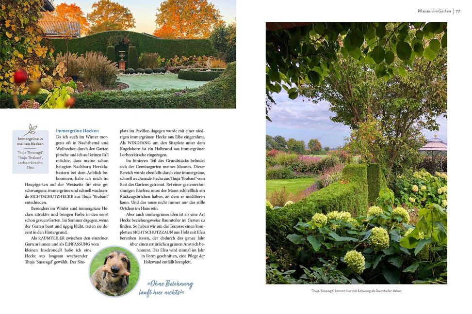InsideView 4