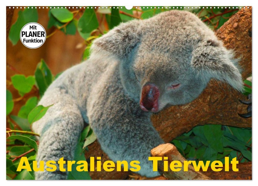 Australiens Tierwelt (Wandkalender 2025 DIN A2 quer), CALVENDO Monatskalender - Elisabeth Stanzer