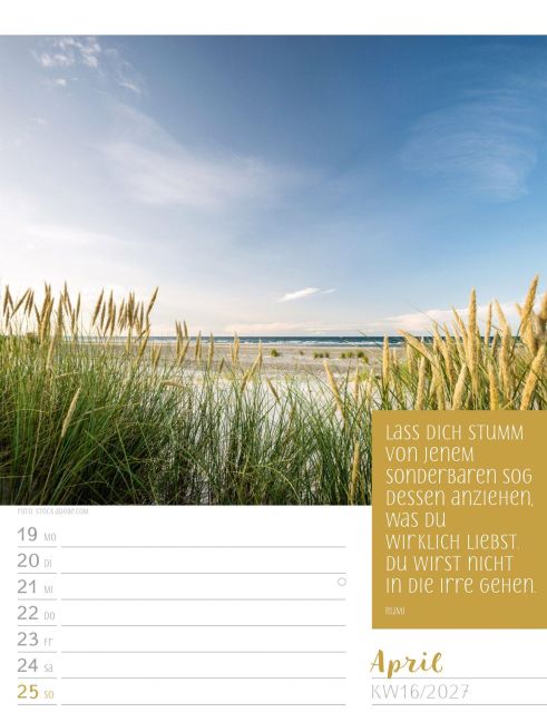 InsideView 20