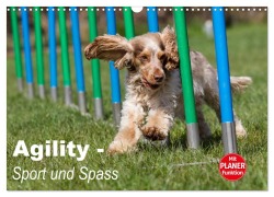 Agility - Sport und Spass (Wandkalender 2026 DIN A3 quer), CALVENDO Monatskalender - Fotodesign Verena Scholze