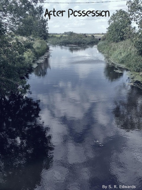 After Possession - S R Edwards