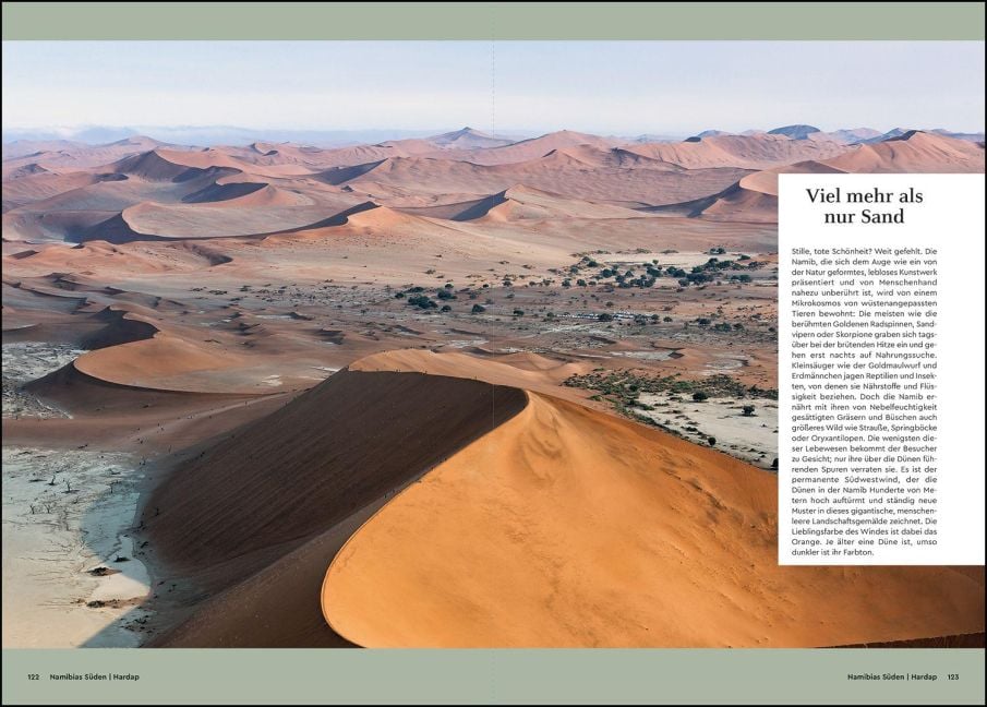 InsideView 5