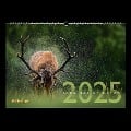 Faszination Natur Kalender 2025 - 