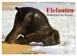Cover-Bild zum Titel 'Elefanten. Badespaß am Strand (Wandkalender 2026 DIN A2 quer), CALVENDO Monatskalender' von 'Elisabeth Stanzer'