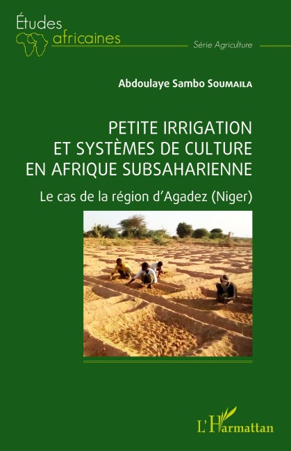 Petite irrigation et systèmes de culture en Afrique subsaharienne - Abdoulaye Sambo Soumaila