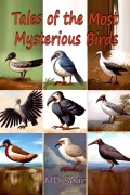 Cover-Bild zum Titel 'Tales of the Most Mysterious Birds' von 'Md Shar'