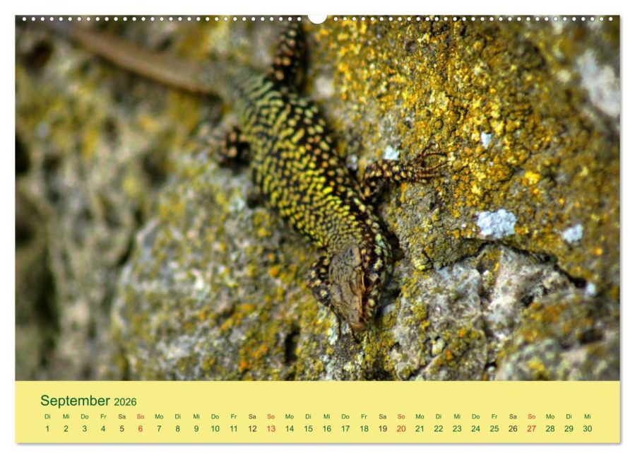 InsideView 14