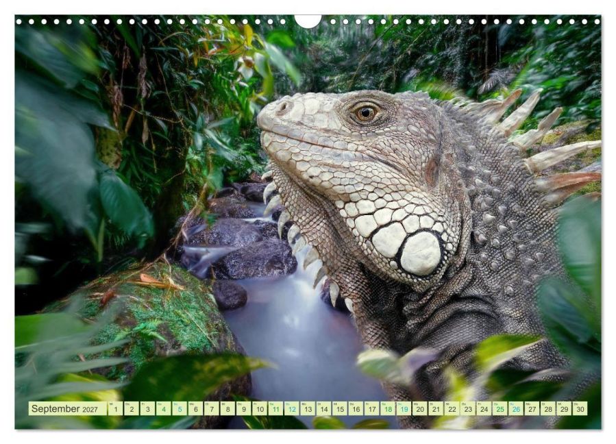 InsideView 14