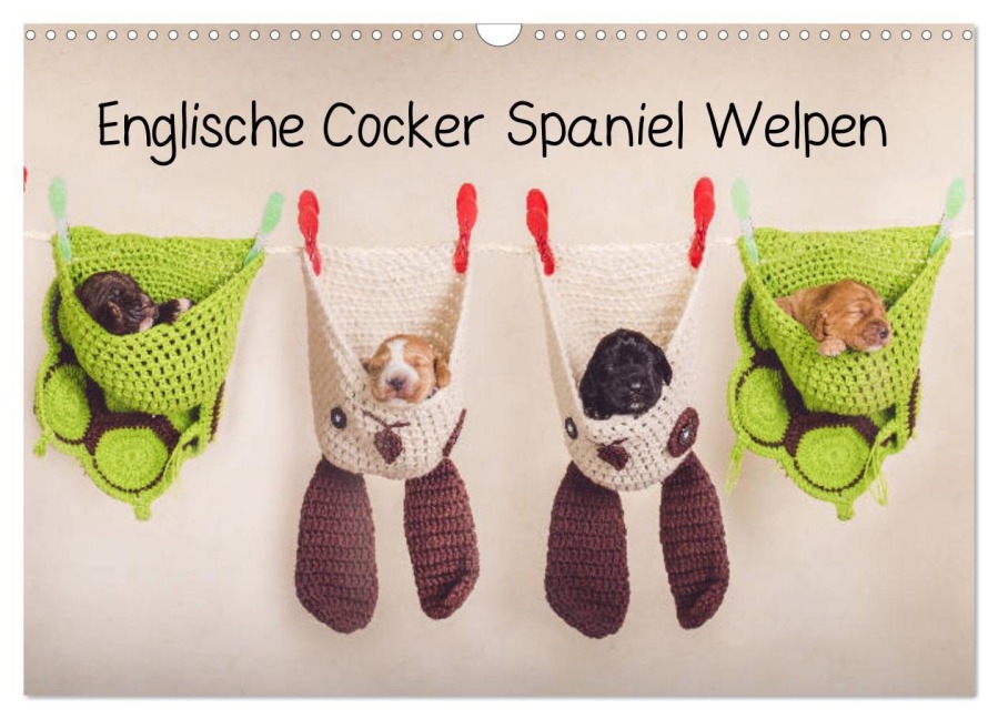 Englische Cocker Spaniel Welpen (Wandkalender 2026 DIN A3 quer), CALVENDO Monatskalender - Sabrina Wobith Photography - FotosVonMaja