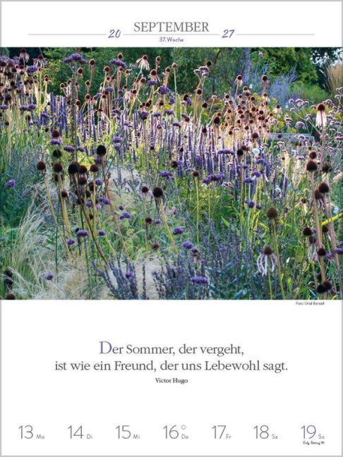 InsideView 11