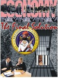 Cover-Bild zum Titel 'Economy: The Final Solution' von 'Jim Pangrazio'