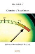 Cover-Bild zum Titel 'Chemins d'Excellence' von 'Patrice Rolot'
