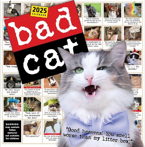 Bad Cat Wall Calendar 2025 - Harry Prichett, Rob Battles, Richard D Rosen