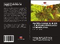 Cover-Bild zum Titel 'PLANTE À HUILE DE RICIN : CULTIVARS PARAGUAÇU ET NORDESTINA' von 'Evandro Franklin de Mesquita, Lúcia Helena Garófalo Chaves, Hugo Orlando Carvallo Guerra'