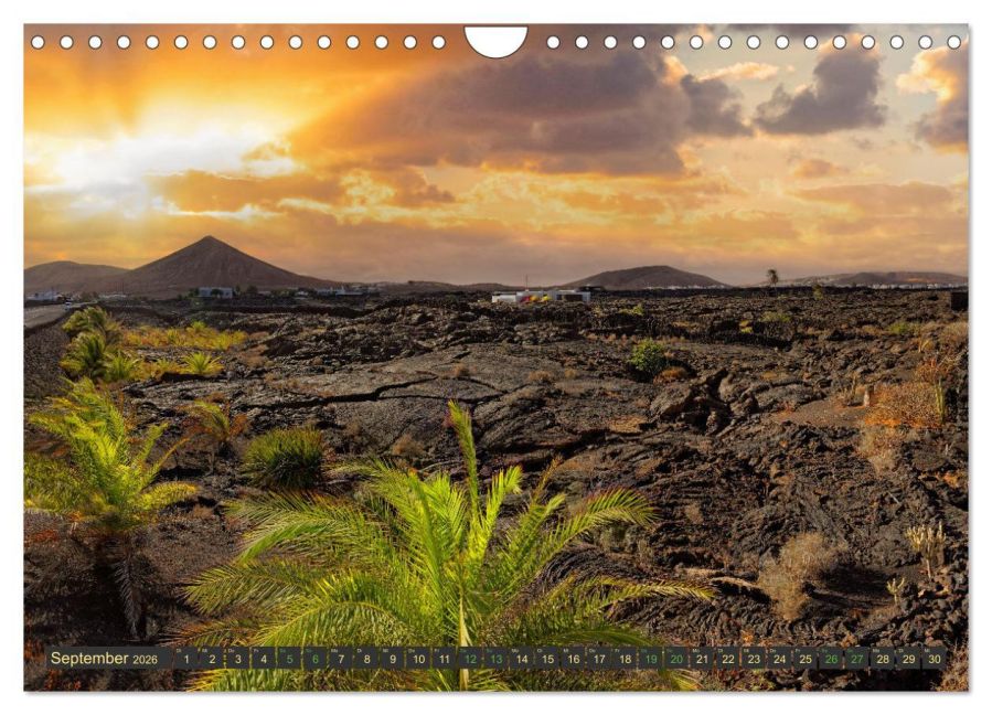 InsideView 14