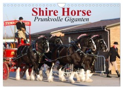 Shire Horse ¿ Prunkvolle Giganten (Wandkalender 2026 DIN A4 quer), CALVENDO Monatskalender - Elisabeth Stanzer
