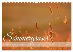Cover-Bild zum Titel 'Sommergräser (Wandkalender 2026 DIN A3 quer), CALVENDO Monatskalender' von 'Daniela Tapper'
