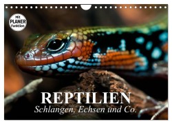 Cover-Bild zum Titel 'Reptilien. Schlangen, Echsen und Co. (Wandkalender 2026 DIN A4 quer), CALVENDO Monatskalender' von 'Elisabeth Stanzer'