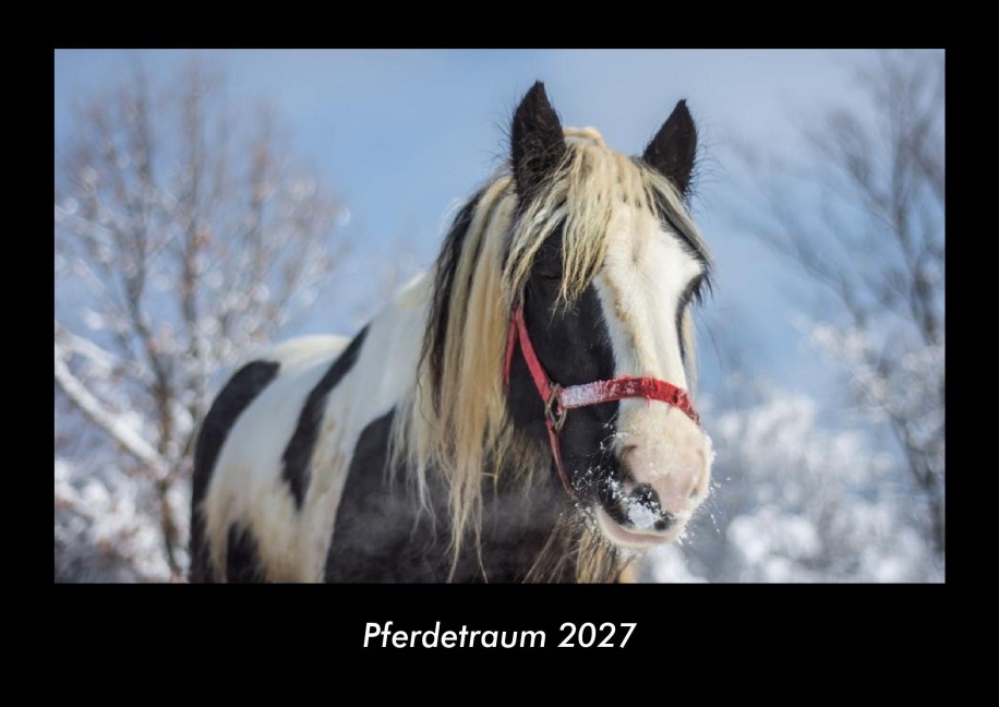 Pferdetraum 2027 Fotokalender DIN A3 - Tobias Becker