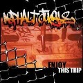 Cover-Bild zum Titel 'Enjoy This Trip' von 'Asphalt Jungle'