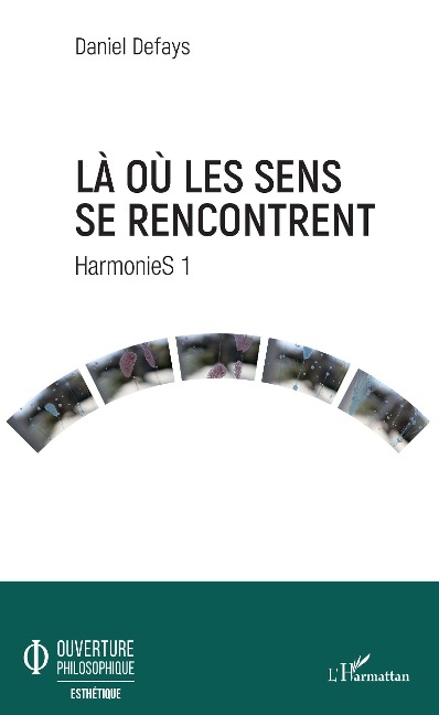 Là où les sens se rencontrent - Daniel Defays